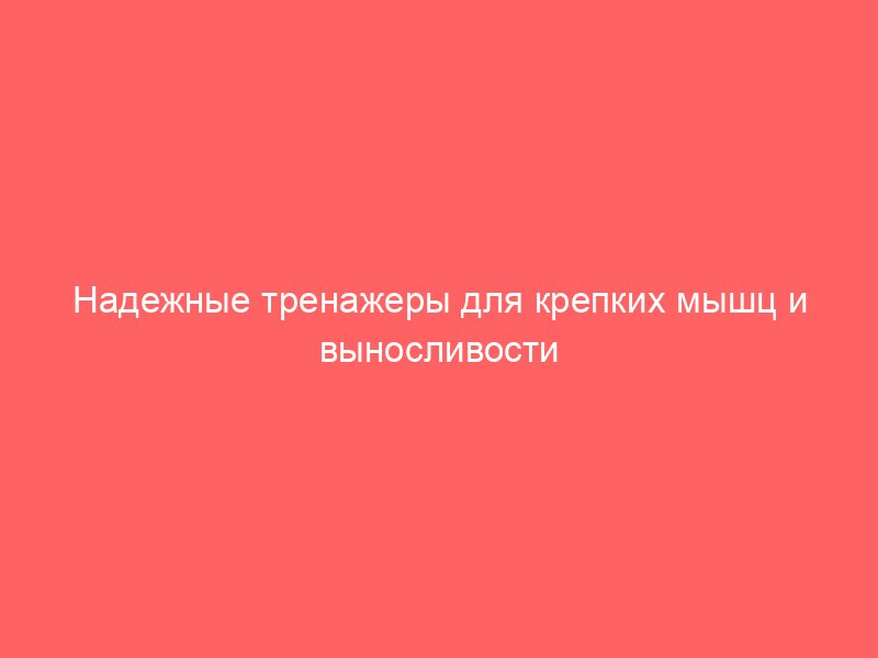 Надежные тренажеры для крепких мышц и выносливости